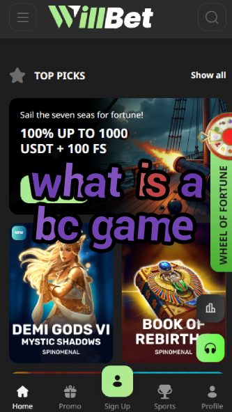 What is a BC Game? Crypto Casino Explained-vz72fvrf.com