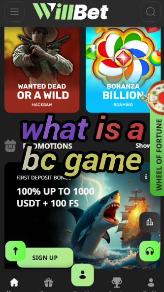 What is a BC Game? Crypto Casino Explained-vz72fvrf.com