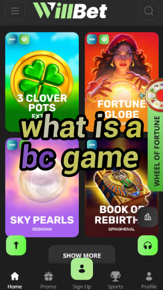 What is a BC Game? Crypto Casino Explained-vz72fvrf.com